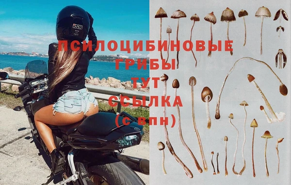 МДПВ Аркадак