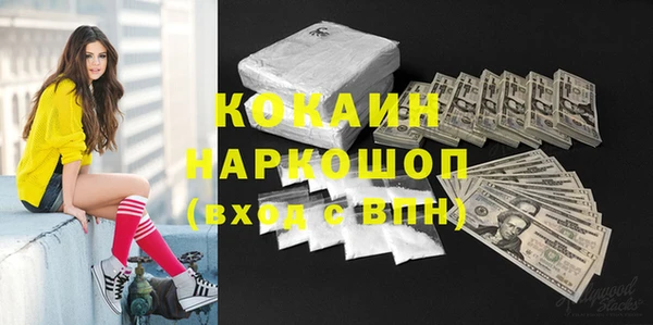 молекула духа Арсеньев