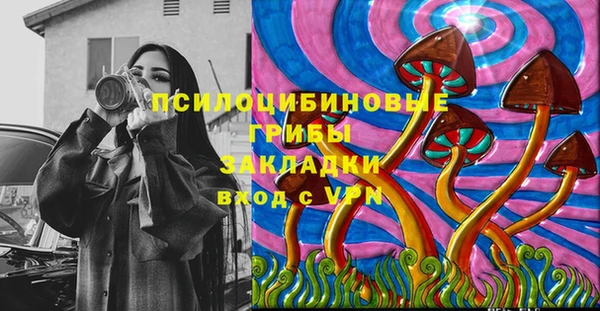 молекула духа Арсеньев