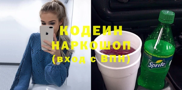 молекула духа Арсеньев