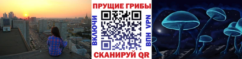 купить   Осинники  Псилоцибиновые грибы прущие грибы 